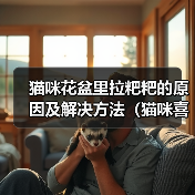 猫咪花盆里拉粑粑的原因及解决方法（猫咪喜欢在花盆里解决生理需求的原因和如何改善这一行为）（图3）