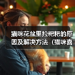 猫咪花盆里拉粑粑的原因及解决方法（猫咪喜欢在花盆里解决生理需求的原因和如何改善这一行为）（图4）