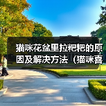 猫咪花盆里拉粑粑的原因及解决方法（猫咪喜欢在花盆里解决生理需求的原因和如何改善这一行为）（图2）