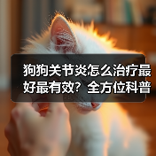 狗狗关节炎怎么治疗最好最有效？全方位科普指南（图3）