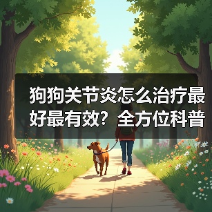 狗狗关节炎怎么治疗最好最有效？全方位科普指南（图2）