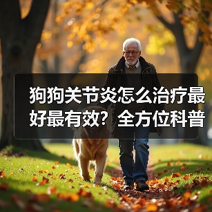 狗狗关节炎怎么治疗最好最有效？全方位科普指南（图1）