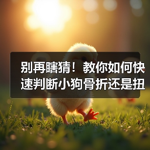 别再瞎猜!教你如何快速判断小狗骨折还是扭伤(图2) 别再瞎猜!教你如何快速判断小狗骨折还是扭伤(图2)