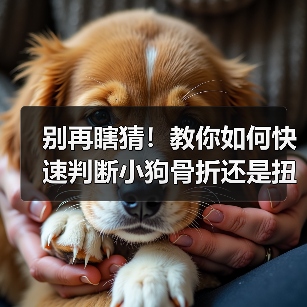 别再瞎猜!教你如何快速判断小狗骨折还是扭伤(图4) 别再瞎猜!教你如何快速判断小狗骨折还是扭伤(图4)