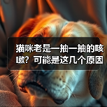 猫咪老是一抽一抽的咳嗽?可能是这几个原因在作祟(图1) 猫咪老是一抽一抽的咳嗽?可能是这几个原因在作祟(图1)