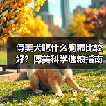 博美犬吃什么狗粮比较好?博美科学选粮指南来啦!(图4) 博美犬吃什么狗粮比较好?博美科学选粮指南来啦!(图4)