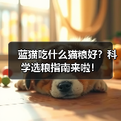 蓝猫吃什么猫粮好?科学选粮指南来啦!(图4) 蓝猫吃什么猫粮好?科学选粮指南来啦!(图4)