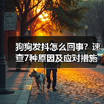 狗狗发抖怎么回事?速查7种原因及应对措施(图1) 狗狗发抖怎么回事?速查7种原因及应对措施(图1)