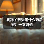 狗狗关节炎用什么药最好?一文讲透(图2) 狗狗关节炎用什么药最好?一文讲透(图2)