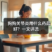狗狗关节炎用什么药最好?一文讲透(图3) 狗狗关节炎用什么药最好?一文讲透(图3)