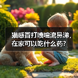 猫感冒打喷嚏流鼻涕,在家可以吃什么药?(图3) 猫感冒打喷嚏流鼻涕,在家可以吃什么药?(图3)