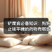 铲屎官必备知识:狗狗止咳平喘的药物有哪些?(图1) 铲屎官必备知识:狗狗止咳平喘的药物有哪些?(图1)