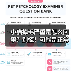小猫掉毛严重是怎么回事?别慌!可能是正常的生理现象(图4) 小猫掉毛严重是怎么回事?别慌!可能是正常的生理现象(图4)