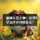 猫癣不是小事！如何科学治疗并预防复发？
