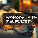 猫癣不是小事!如何科学治疗并预防复发?(图4) 猫癣不是小事!如何科学治疗并预防复发?(图4)