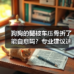 狗狗的腿被车压骨折了能自愈吗?专业建议速看(图3) 狗狗的腿被车压骨折了能自愈吗?专业建议速看(图3)