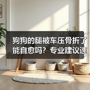 狗狗的腿被车压骨折了能自愈吗?专业建议速看(图2) 狗狗的腿被车压骨折了能自愈吗?专业建议速看(图2)