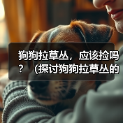 狗狗拉草丛,应该捡吗?(探讨狗狗拉草丛的行为及对环境的影响)(图1) 狗狗拉草丛,应该捡吗?(探讨狗狗拉草丛的行为及对环境的影响)(图1)
