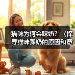 猫咪为何会踩奶?(探寻猫咪踩奶的原因和意义)(图3) 猫咪为何会踩奶?(探寻猫咪踩奶的原因和意义)(图3)