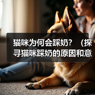 猫咪为何会踩奶?(探寻猫咪踩奶的原因和意义)(图4) 猫咪为何会踩奶?(探寻猫咪踩奶的原因和意义)(图4)