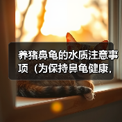 养猪鼻龟的水质注意事项（为保持鼻龟健康，水质是关键！）