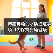 养猪鼻龟的水质注意事项(为保持鼻龟健康,水质是关键!)(图3) 养猪鼻龟的水质注意事项(为保持鼻龟健康,水质是关键!)(图3)