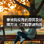 泰迪狗反胃的原因及处理方法（了解泰迪狗反胃的常见原因以及预防措施）