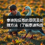 泰迪狗反胃的原因及处理方法(了解泰迪狗反胃的常见原因以及预防措施)(图4) 泰迪狗反胃的原因及处理方法(了解泰迪狗反胃的常见原因以及预防措施)(图4)
