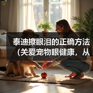 泰迪擦眼泪的正确方法（关爱宠物眼健康，从正确擦拭泰迪眼泪开始）
