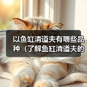 以鱼缸清道夫有哪些品种（了解鱼缸清道夫的不同品种及其特点）