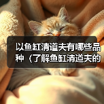 以鱼缸清道夫有哪些品种(了解鱼缸清道夫的不同品种及其特点)(图2) 以鱼缸清道夫有哪些品种(了解鱼缸清道夫的不同品种及其特点)(图2)