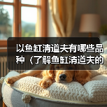 以鱼缸清道夫有哪些品种(了解鱼缸清道夫的不同品种及其特点)(图3) 以鱼缸清道夫有哪些品种(了解鱼缸清道夫的不同品种及其特点)(图3)