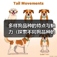 多样狗品种的特点与魅力（探索不同狗品种的特色，了解你最喜欢的狗狗！）（图4）