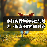 多样狗品种的特点与魅力（探索不同狗品种的特色，了解你最喜欢的狗狗！）