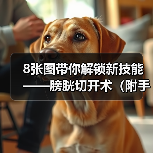 8张图带你解锁新技能——膀胱切开术(附手术视频)(图4) 8张图带你解锁新技能——膀胱切开术(附手术视频)(图4)