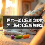 探索一线仓鼠的奇妙世界(揭秘仓鼠独特的生活习性与品种多样性)(图3) 探索一线仓鼠的奇妙世界(揭秘仓鼠独特的生活习性与品种多样性)(图3)