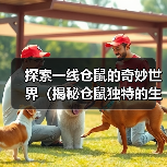 探索一线仓鼠的奇妙世界(揭秘仓鼠独特的生活习性与品种多样性)(图2) 探索一线仓鼠的奇妙世界(揭秘仓鼠独特的生活习性与品种多样性)(图2)
