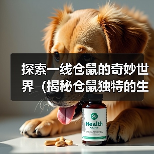 探索一线仓鼠的奇妙世界(揭秘仓鼠独特的生活习性与品种多样性)(图1) 探索一线仓鼠的奇妙世界(揭秘仓鼠独特的生活习性与品种多样性)(图1)