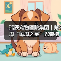瑞辰宠物医院集团 | 第3周“每周之星”光荣榜(图2) 瑞辰宠物医院集团 | 第3周“每周之星”光荣榜(图2)