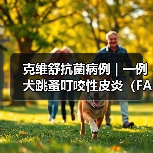 克维舒抗菌病例 | 一例犬跳蚤叮咬性皮炎（FAD）的病例分析