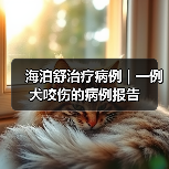 海泊舒治疗病例 | 一例犬咬伤的病例报告(图2) 海泊舒治疗病例 | 一例犬咬伤的病例报告(图2)