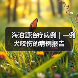 海泊舒治疗病例 | 一例犬咬伤的病例报告(图4) 海泊舒治疗病例 | 一例犬咬伤的病例报告(图4)