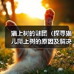 猫上树的谜团(探寻猫儿爬上树的原因及解决办法)(图1) 猫上树的谜团(探寻猫儿爬上树的原因及解决办法)(图1)