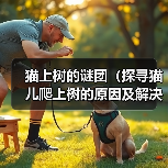 猫上树的谜团(探寻猫儿爬上树的原因及解决办法)(图4) 猫上树的谜团(探寻猫儿爬上树的原因及解决办法)(图4)