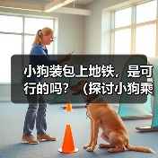 小狗装包上地铁,是可行的吗?(探讨小狗乘坐地铁的问题及相关规定)(图1) 小狗装包上地铁,是可行的吗?(探讨小狗乘坐地铁的问题及相关规定)(图1)