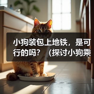 小狗装包上地铁,是可行的吗?(探讨小狗乘坐地铁的问题及相关规定)(图3) 小狗装包上地铁,是可行的吗?(探讨小狗乘坐地铁的问题及相关规定)(图3)