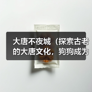 大唐不夜城(探索古老的大唐文化,狗狗成为你最佳的伴侣)(图1) 大唐不夜城(探索古老的大唐文化,狗狗成为你最佳的伴侣)(图1)