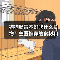 狗狗肠胃不好吃什么食物?兽医推荐的食材和饮食方案(图1) 狗狗肠胃不好吃什么食物?兽医推荐的食材和饮食方案(图1)