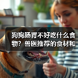 狗狗肠胃不好吃什么食物?兽医推荐的食材和饮食方案(图2) 狗狗肠胃不好吃什么食物?兽医推荐的食材和饮食方案(图2)