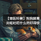 【宠医科普】狗狗肠胃炎呕吐吃什么药好得快?(图2) 【宠医科普】狗狗肠胃炎呕吐吃什么药好得快?(图2)